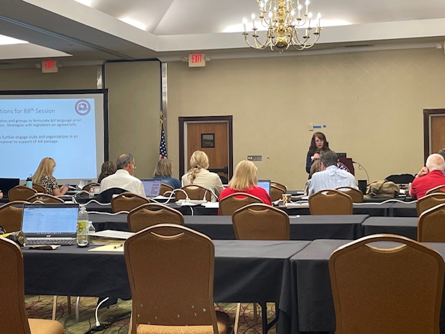 Jill presiding over the Legislative Priorities Committee